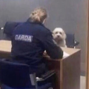 Meet your Posher, Victor